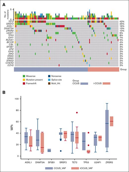 Genetic landscape of clonal cytopenia of undetermined significance (CCUS) stratified by prior therapy. (A) Genetic characteristics and (B) variance allele frequency (VAF) for select genes in patients with de novo or therapy-related CCUS. MCV, mean corpuscular volume.