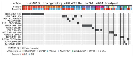 Gene fusions of interest by ALL subtype. The most common subtypes across treatment arms were BCR::ABL1+, BCR::ABL1–like, low hypodiploidy, KMT2A rearranged, and DUX4 rearranged. The most common non–BCR::ABL1 rearrangements were IGH::CRLF2 detected in the BCR::ABL1–like subtype, and KMT2A::AFF1 detected in the KMT2A rearranged subtype. Oncoprint displays cases of both canonical and noncanonical fusion orientation. The numbers in parentheses denote the number of patients carrying that gene fusion.