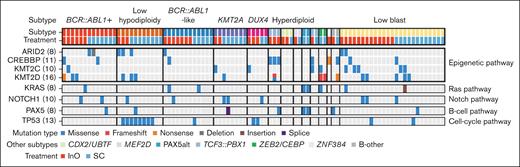 Common nonfusion genomic alterations by ALL subtype and molecular pathway. Among nonrearrangement genomic alterations, sequence mutations of chromatin-modifying genes were common. Other common gene alterations included TP53, NOTCH1, and KRAS. The numbers in brackets denote the number of patients carrying that genomic alteration.