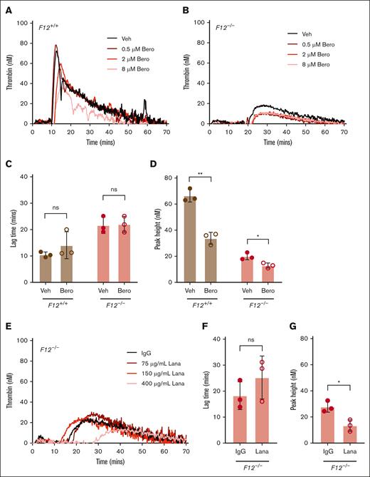Effect of PKa inhibition on contact pathway–initiated TG in FXII-sufficient and -deficient WB. Representative curves of silica-initiated TG in F12+/+ (A) and F12–/– (B) mouse WB in the presence of increasing concentrations of the PKa inhibitor (PKai) berotralstat or vehicle control. Quantification of TG lag time (C) and peak TG (D) in F12+/+ or F12–/– WB in the presence of 8 μM berotralstat or vehicle control (n = 3 per group). (E) Representative curves of silica-initiated TG in F12–/– mouse WB in the presence of increasing concentrations of the inhibitory anti-PKa antibody lanadelumab or IgG control. Quantification of TG lag time (F) and peak TG (G) in F12–/– WB in the presence of 400 μg/mL lanadelumab or IgG control (n = 3 per group). Data presented as individual values with mean ± standard deviation (SD). Data analyzed with paired Student t tests comparing samples with and without inhibitor; ∗P < .05; ∗∗P < .01. Bero, berotralstat; Lana, lanadelumab; ns, not significant; Veh, vehicle.