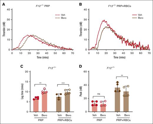 Effect of PKa inhibition on contact pathway–initiated TG in FXII-deficient PRP and RBC-reconstituted PRP. Representative curves of silica-initiated TG in F12–/– PRP (A) and F12–/– PRP reconstituted with RBCs (PRP+RBCs) (B) in the presence of the PKa inhibitor berotralstat or vehicle control. Quantification of TG lag time (C) and peak TG (D) in F12–/– PRP and PRP with RBCs (n = 4 per group). Data presented as mean ± SD with paired t tests comparing samples with and without inhibitor; ∗∗P < .01; ∗∗∗P < .001. Bero, berotralstat; ns, not significant; Veh, vehicle.