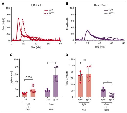 Effect of endogenous TF on contact pathway–initiated TG in WB. Representative curves of silica-initiated TG in TFlow or TFwt mouse WB (A) and TFlow or TFwt mouse WB (B) in the presence of 8 μM berotralstat and 50 μg/mL garadacimab with quantification of TG lag time (C) and peak TG (n = 4-5 per group) (D). Data presented as individual values with mean ± SD. Data analyzed with paired Student t tests comparing TFlow and TFwt; ∗∗P < .01. Bero, berotralstat; ns, not significant; Veh, vehicle.