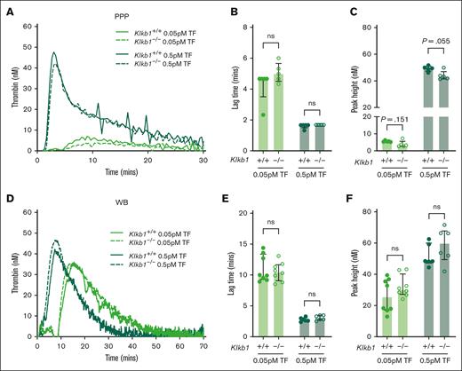 Effect of PK deficiency on extrinsic pathway–initiated TG. (A) Representative TF-initiated TG curves in Klkb1+/+ and Klkb1–/– mouse PPP. Quantification of TG lag time (B) and peak TG (C) in Klkb1+/+ and Klkb1–/– mouse PPP initiated with 0.05 pM and 0.5 pM TF (n = 5 per group). (D) Representative TF-initiated TG curves in Klkb1+/+ and Klkb1–/– mouse WB. Quantification of TG lag time (E) and peak TG (F) in Klkb1+/+ and Klkb1–/– mouse WB initiated with 0.05 pM and 0.5 pM TF (n = 6-8 per group). Data are presented as individual values with median and interquartile range. Data were analyzed with Mann-Whitney U tests comparing Klkb1+/+ and Klkb1–/– samples under the same trigger conditions; ∗∗P < .01.