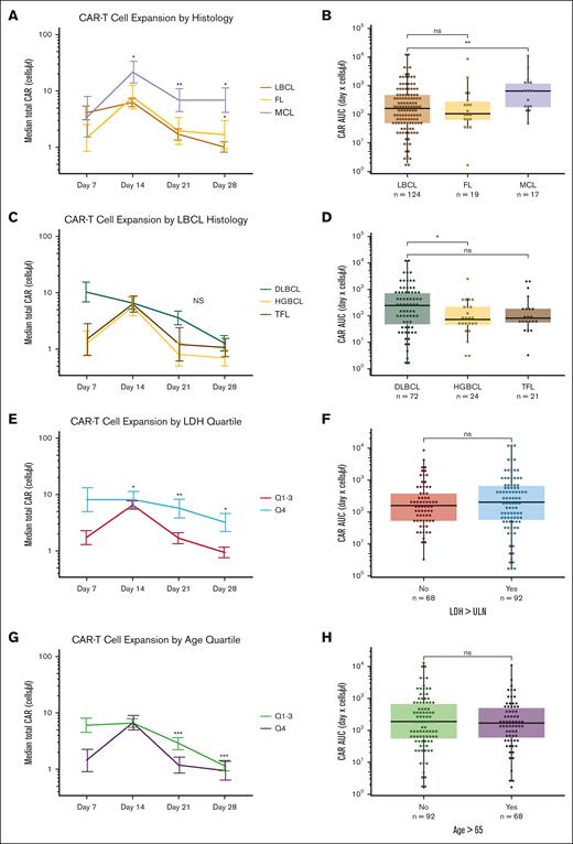 CAR19 expansion is dependent on lymphoma histology. (A) MCL histology has increased D14, D21, and D28 CAR19 expansion relative to LBCL based on a multivariate linear mixed effects model of longitudinal data. (B) CAR19 AUC in MCL is greater than LBCL with almost fourfold higher CAR19 exposure (Wilcoxon test). (C-D) Breakdown of the LBCL histology indicates there are differences between HGBCL, TFL, and other LBCL pathologies in CAR19 expansion. These differences are not significant in mixed effects modeling (C) but there is a significant AUC difference between HGBCL and other lymphoma histologic subtypes when directly compared (D; Wilcoxon test). (E) Greater LDH is associated with significantly more persistence of CAR19s on D21 and D28 using a multivariate mixed effects model. Plot is representative of statistical output that uses continuous values. (F) Discrete analysis of CAR19 expansion (Wilcoxon test) by AUC based off prelymphodepletion LDH greater than the upper limit of normal does not demonstrate statistically significant total exposure differences in CAR19 expansion. (G) Greater age is associated with reduced CAR19 persistence on D21 and D28 using the same modeling. Plot is representative of statistical results that uses continuous values. (H) Discrete modeling of total CAR19 exposure over the first 28 days does not demonstrate significant differences in AUC using a standard age threshold (Wilcoxon test). However, highly significant effect sizes in mixed effects modeling for both LDH and age were modest. ∗P < .05; ∗∗P < .01, ∗∗∗P < 0.001; ns; error bars are standard error of the mean; plots are representative of modeling results. Significance values in line charts represent the interaction between CAR19 expansion and day; graphs are only representative of the continuous statistics. ns, not significant.