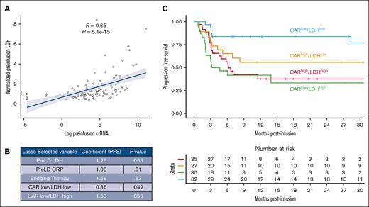 The interaction between pretreatment risk by LDH and CAR19 expansion classifies patients with high and low risks. (A) Pretreatment LDH strongly correlates with pretreatment ctDNA. (B) Results of lasso regression incorporating the interaction between prelymphodepletion LDH (greater or less than data set median) and prelymphodepletion CAR AUC (greater or less than data set median). Expected values selected by the lasso based on prior publications include prelymphodepletion LDH, pre-LD CRP, and bridging therapy. In addition, patients with high LDH and low CAR19 expansion (CARlow/LDHhigh) are selected as doing worse, whereas patients with low LDH and low CAR19 expansion (CARlow/LDHlow) are selected as having improved outcomes. (C) Kaplan-Meier estimate of patients stratified by LDH and CAR expansion demonstrate superior outcomes by PFS in patients with low LDH and low CAR19 expansion.