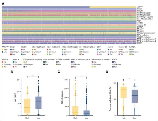 Comparision of significant characters between AMLlnc69 low- and high-risk groups. (A) Heat map comparing the distribution of significant characters. (B-D) Comparison of age (B), WBC at diagnosis (C), and bone marrow leukemic blast (D).