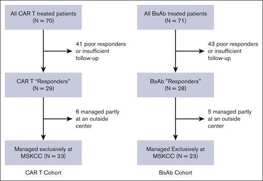 CONSORT diagram. Recruited patients included patients treated with commercial CAR T-cell and BsAb products, with a response to therapy, who were managed exclusively at our single center, MSKCC.