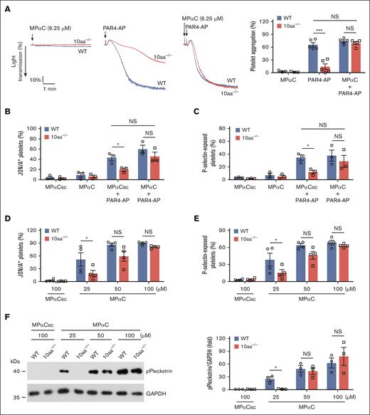 MPαC rescues the functional defects of 10aa−/− platelets. (A-C) The effect of (A) low-dose MPαC- (6.25 μM) on PAR4-AP– (40 μM) induced washed WT and 10aa−/− platelet aggregation (n = 5 independent experiments), (B) JON/A binding (n = 3 independent experiments), and (C) P-selectin exposure (n = 3 independent experiments). (D) High-dose MPαC only–induced washed WT and 10aa−/− platelet JON/A binding (n = 4 independent experiments), (E) P-selectin exposure (n = 4 independent experiments), (F) PKC substrate (pleckstrin) phosphorylation (n = 3 independent experiments). Two-way ANOVA followed by Bonferroni post hoc test in panels A-F. Data are shown as mean ± SEM for panels A-F. ∗P < .05 and ∗∗∗P < .001; NS, not significant.