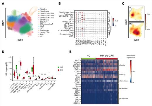 T-cell states in myeloma and healthy age-matched controls. (A) UMAP of total 690 939 T cells with annotated cell states. (B) Violin plot of normalized expression of selected representative genes for each cell state. (C) Density map of T cells from healthy controls (HCs) and patients with MM. (D) Bar plot showing proportions of each cell state in HC and MM. Significance level was determined using Wilcoxon rank-sum test (P < .001). (E) Heat map of normalized expression of selected differentially expressed genes between HC and MM. IFN, interferon; MAIT, mucosal-associated invariant T cell; NKT, natural killer T cell; Tcm, central memory T cell.