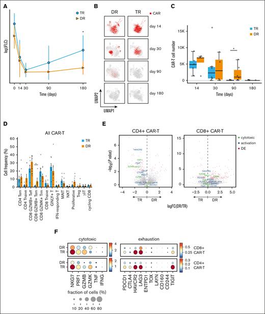 Analysis of transcriptional programs in CAR T cells with correlation to clinical response. (A) Involved serum free light chain (FLC) levels of patients with myeloma over time after CAR T-cell therapy (day 0 = CAR T-cell infusion), by group. Statistical significance is marked by asterisk and determined by Wilcoxon rank-sum test (P = .0113). (B) UMAP of T cells, with projection of annotated CAR T cells from TR and DR groups at different time points (days) after infusion. (C) Bar plot showing the sum of CAR T cells from 15 patients, by group, at different time points (days) after infusion. (D) Bar plots showing proportions of CAR T cells (mean ± SE) at different cell states, by group. Statistical significance is marked by asterisk and determined by Wilcoxon rank-sum test (P = .030) (E) Volcano plots showing differentially expressed genes between patient groups (DR vs TR) in CD4+ CAR T cells and CD8+ CAR T cells. Annotated genes in red have a statistically significant (P < .05) fold change (FC) >1.5. (F) Dot plots showing normalized expression of cytotoxicity and exhaustion genes in CD4+ and CD8+ CAR T cells, by group. Dot size is proportional to fraction of cells. MAIT, mucosa-associated invariant T cell; NKT, natural killer T cell.