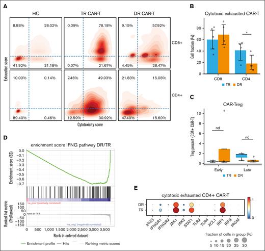 Cytotoxic and exhausted CD4+ CAR T cells harboring interferon gamma signature are identified preferentially in patients with transient response to therapy. (A) Density map of cytotoxicity and exhaustion gene signature scores for CD4+ and CD8+ CAR T cells, by group. Cell fractions (%) are annotated in each quadrant. (B) Bar plot showing CD4+ CAR T-cell fraction (mean % ± SE) of “double positive” cytotoxic and exhausted cells derived from the top right quadrant in panel B, by group. Statistical significance is marked by asterisk and determined by Wilcoxon rank-sum test (P = .03). (C) Box plot showing CAR-Treg fraction (median % ± 1.5 interquartile range), by group. (D) Enrichment score (see “Methods”) for interferon gamma (IFNG) pathway of CD4+ CAR T cells from DR group vs TR group. (E) Dot plots showing normalized expression of genes related to interferon (IFNG) pathway in CD4+ CAR T cells, by group. Dot size is proportional to fraction of cells.