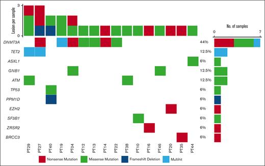Oncoplot displaying CHIP results. Oncoplot showing the relative genetic contribution to CHIP in the cohort (76 patients, of whom 16 are carrying CHIP-defining lesions). Mutation types are color-coded according to legend. The right bar chart shows the number of samples carrying a specific genetic variant, whereas the top bar chart recapitulates the number of variants per sample. DTA lesions are shown in the first 3 lines followed by other genes involved in hematologic neoplasms.