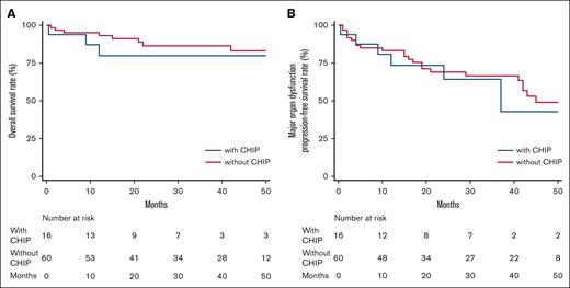 OS and MOD-PFS. Kaplan-Meier curves showing OS (A) and MOD-PFS (B) expressed in months among patients with AL amyloidosis with (blue line) and without (red line) CHIP.