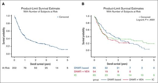Overall survival of patients diagnosed with accelerated/blast-phase myeloproliferative neoplasms from 2017 onward. (A) OS of patients diagnosed with MPN-AP/BP from 2017 onward. (B) OS of patients with MPN-AP/BP by frontline treatment approach.
