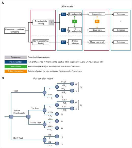 ASH two choices model vs a 3-choices decision model. (A) ASH modeling approach for determining the effect of thrombophilia testing. The model starts with the population considered for thrombophilia testing. Thrombophilia testing refers to testing for any type of thrombophilia or a specific type. Intervention is the course of action other than usual care. Depending on the particular question, this means prescribing thromboprophylaxis, withholding thromboprophylaxis, extending thromboprophylaxis, stopping thromboprophylaxis, withholding birth control pills, or withholding hormone replacement therapy. Usual care typically consists of short-term (3-6 months) anticoagulation (provoked VTE) or indefinite treatment (unprovoked VTE). P-thrombophilia prevalence (denoted in the manuscript as Tp); incidence risks of VTE recurrence is denoted in the manuscript as pt+ and pt- for patients with (thrombophilia) positive results and for patients with negative test results, respectively; Association refers to RR for recurrent VTE in patients with thrombophilia vs patients without thrombophilia (RRt); Relative effects of intervention (anticoagulant) on VTE recurrence (RRrx) and bleeding (RRbleed) compared with no intervention. (B) A decision tree showing a 3-choice clinical dilemma: administer treatment (anticoagulants) vs performing a diagnostic test (T) (thrombophilia testing) vs withholding therapy. Each treatment consists of the management strategies “treat all patients,” “treat none,” and “use thrombophilia test” to decide whether to treat. By “treatment,” we refer to a commitment to a course of action that may include management consisting of treatment or diagnostic testing. pt+=Pr(D+|T+) refers to the probability of VTE recurrence when the thrombophilia test is positive (T+). U1 to U4, utilities (outcomes; see Appendix 1 for details).