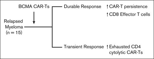 Correlates of outcome after BCMA CAR-T therapy in MM in the study by Ledergor et al.