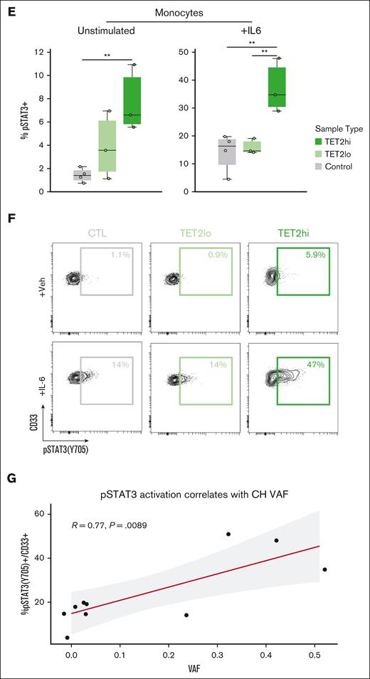 Mutant CD14+ monocytes from 4 patients with TET2 and 2 patients with DNMT3A highlight inflammatory cell-intrinsic effects of CH mutations. (A) Violin plots displaying expression of cytokines in control CD14+ monocytes and TET2 mutant CD14+ monocytes. (B) Violin plots displaying expression of cytokines in control CD14+ monocytes and DNMT3A mutant monocytes. (C) GSEA based on results from differential expression analysis comparing TET2 mutant CD14+ monocytes with control CD14+ monocytes. (D) GSEA based on results from differential expression analysis comparing DNMT3A mutant CD14+ monocytes with control CD14+ monocytes. (E) Quantification of phospho-flow cytometry displaying pSTAT3(Y705)+ in the CD33+ gate of large VAF TET2 CH samples (>25%; n = 3) compared with both low VAF (<25%; n = 3) and control samples (n = 4) (∗∗P < .01 by analysis of variance with Tukey's Honestly Significant Difference). (F) With IL-6 stimulation condition (similar to E). (G) Pearson correlation of %pSTAT3(Y705)+ in the CD33+ gate and VAF after IL-6 stimulation. For samples with multiple mutations, the highest VAF value was selected for the analysis. GSEA, gene set enrichment analysis.
