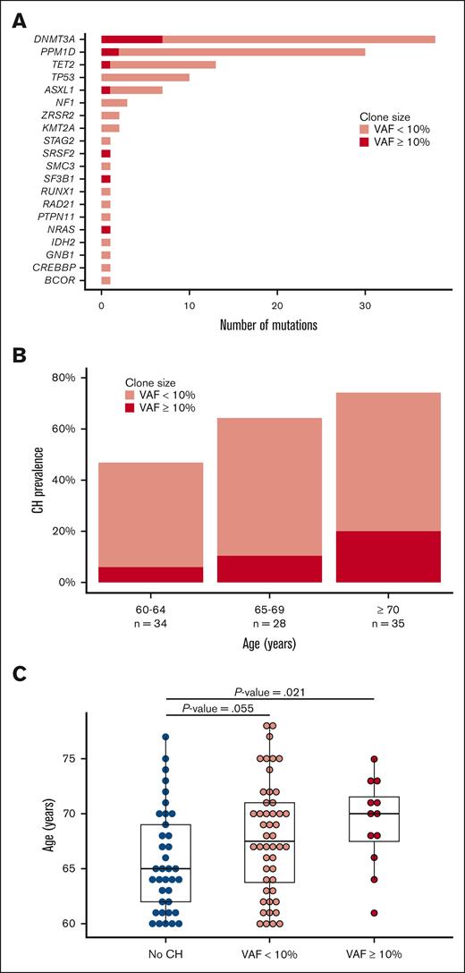 Prevalence and characteristics of CH according to age of alloBMT recipient. (A) Distribution of CH mutations in the cohort. (B) Prevalence of CH at different ages. (C) Distribution of CH proportion according to patient age.