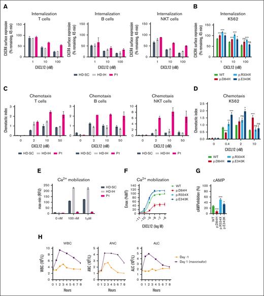 Impact of CXCR4D84H on receptor function and effects of mavorixafor treatment in P1. (A) PBMCs isolated from HDs (HD-SC and HD-IH) and P1 were stimulated with CXCL12 (vehicle, 1 nM, 10 nM, and 100 nM) for 45 minutes. CXCR4 receptor internalization was assessed by surface expression of CXCR4 by flow cytometry. Values are expressed as percent of remaining CXCR4 expression compared with vehicle-treated cells. PBMCs were subtyped using fluorescent mAbs specific for CD3 (T cells), CD19 (B cell), and CD3 and CD56 (NKT cells). Statistical analysis was not performed owing to low sample numbers. Mean ± standard deviation (SD) of 2 to 4 from 2 biological replicates. (B) K562 cells were transiently transfected with indicated CXCR4 constructs and stimulated with CXCL12 (vehicle, 1 nM, 10 nM, and 100 nM) for 45 minutes. CXCR4 receptor internalization was assessed by surface expression of CXCR4 via flow cytometry. Statistical significance determined by Mann-Whitney tests comparing variants with the WT at each respective concentration of ligand. Values are expressed as percent of remaining CXCR4 compared with vehicle-treated cells. Values represent mean ± standard error of mean (SEM) of 3 to 17. ∗P < .05; ∗∗P < .01; ∗∗∗P < .001. (C) Transwell chemotaxis assay: PBMCs isolated from HDs (HD-SC and HD-IH) and P1 migrated toward 2, 10, and 50 nM CXCL12 or medium only for 2.5 hours. The total number of migrated cells was normalized to the HD-SC with 10 nM CXCL12 in each cell type. PBMCs were subtyped using fluorescent mAbs specific for CD3 (T cells), CD19 (B cell), and CD3 and CD56 (NKT cells). Statistical analysis in PBMCs was not performed owing to low sample numbers. Mean ± SD of 2. (D) Transwell chemotaxis assay: K562 cells transiently transfected with indicated CXCR4 constructs migrated toward 0.4, 2, and 10 nM CXCL12 or medium only for 4 hours. The total number of migrated cells was normalized to WT with 2 nM CXCL12 in each assay. Statistical significance was determined by Mann-Whitney tests (0.4 nM and 10 nM) and 1-sample Wilcoxon signed-rank test (2 nM) comparing variants with the WT at each respective concentration of ligand. Mean ± SEM of 5 to 20. ∗P < .05; ∗∗P < .01; ∗∗∗P < .001. (E) PBMCs isolated from HDs (HD-SC and HD-IH) and P1 were stimulated with vehicle, 100 nM or 1 µM CXCL12 to measure Ca2+ mobilization. Statistical analysis was not performed owing to low sample numbers; n = 2 technical replicates; the experiment is representative of 2 independent experiments. (F) K562 cells with stable CXCR4 expression were stimulated with serial dilutions of CXCL12 to measure Ca2+ mobilization. Relative fluorescence units measured in WT-expressing cell line at 1 µM CXCL12 represented 100%. Mean ± SEM of 11 to 12. (G) K562 cells with stable CXCR4 expression were stimulated with forskolin ± 100 nM CXCL12 for 30 minutes. cAMP production was measured by enzyme-linked immunosorbent assay. Percent of inhibition of cAMP production by CXCL12 was calculated respective to forskolin-only treated cells. Statistical significance was determined by Mann-Whitney tests comparing variants with the WT. Values represent mean ± SEM of 9 to 12. ∗P < .05; ∗∗P < .01; ∗∗∗P < .001. (H) Time course of WBC counts, ANC, and ALC for P1 before receiving oral mavorixafor (day –1) and on the first day of mavorixafor treatment (day 1). ALC, absolute lymphocyte count; AMC, absolute monocyte count; ANC, absolute neutrophil count; CD, cluster of differentiation; HD-IH, healthy donor in-house; HD-SC, healthy donor shipping control; mAb, monoclonal antibody; NK, natural killer; NKT, natural killer T; ns, not significant; WBC, white blood cell; WT, wild type.