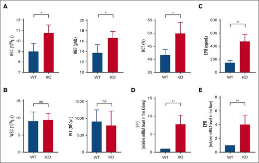 Rev-erbα KO mice had altered RBC indices and increased EPO levels. A comparison of total blood counts in Rev-erbα KO and WT mice shows the values for RBCs, HGB, and HCT (A) and the number of white blood cells (WBCs) and platelets (PLTs) (B). (C) Serum EPO levels in Rev-erbα KO were compared with WT littermate controls. (D-E) qRT-PCR was used to determine the relative EPO mRNA levels in the kidney (D) and liver (E) of WT and KO mice. Values are mean ± standard deviation (SD; n = 4). ∗P < .05; ∗∗P < .01, as indicated.