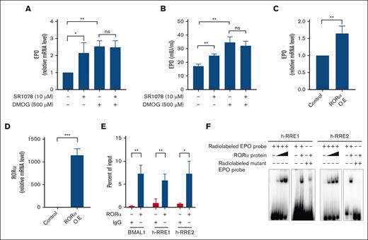 RORα binds to the EPO promoter to regulate its gene expression. HepG2 cells were treated with DMOG or SR1078 or combination for 24 hours and EPO expression was evaluated for (A) relative mRNA expression by qRT-PCR and (B) the protein levels in the cell culture supernatant by ELISA. (C) qRT-PCR analysis of EPO in HepG2 cells ectopically expressed with RORα. (D) O.E of RORα in HepG2 cells determined with the qRT-PCR analysis. (E) ChIP analysis of RORα binding to the human EPO promoter region using chromatin extracted from HepG2 cells treated with SR1078 for 24 hours. (F) EMSA with RORα protein by using WT and mutant radiolabeled probes. Data are representative and mean ± SD from 3 independent experiments. ∗P < .05; ∗∗P < .01; ∗∗∗P < .001, as indicated.