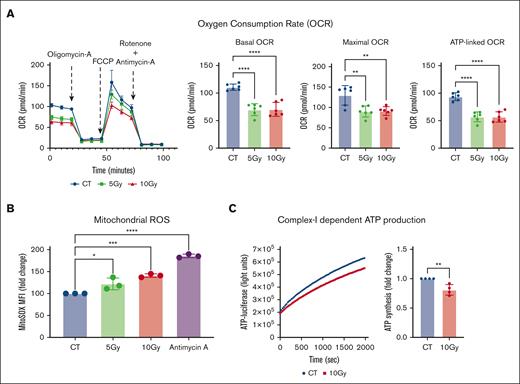 Irradiation leads to mitochondrial dysfunction in Caco-2 cells. Caco-2 cells were irradiated at the indicated doses, cultured for an additional 24 hours, and subjected to various mitochondrial functional assays. (A) A representative Seahorse plot of the Mito Stress assay and bar graphs of the respiratory parameters normalized within the experiment for difference in the total protein content between the groups (n = 6). (B) The median fluorescence intensity (MFI) of cells stained with MitoSOX and analyzed by flow cytometry is shown as relative fold inductions in relation to control nonirradiated cells (CT; n = 3). Cells treated with 5 μM antimycin-A for 3 hours served as a positive control for the assay. (C) ATP production in 1 μg of isolated mitochondria from nonirradiated (CT) and irradiated (10 Gy) Caco-2 cells when provided with pyruvate and malate as substrates. A representative plot of luciferase activity recorded over time (left) and the ATP concentration calculated are shown as relative fold change in comparison to CT (n = 4). ∗P < .05, ∗∗P < .01, ∗∗∗P < .001, and ∗∗∗∗P < .0001; n, number of independent experiments.