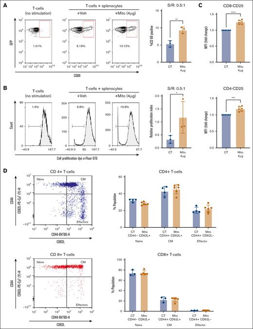 exMito treated APCs increase allogeneic T-cell activation and proliferation in MLR. In vitro MLR between C57BL/6J responder T cells and BALB/c T-cell–depleted splenocytes was set up as described in “Methods.” (A) Cells were stained with a CD69 antibody and representative dot plots for the expression of CD69 on green fluorescent protein (GFP)-expressing responder T cells after 48 hours of MLR (S/R: 0.5 to 1; left) and the mean percentage CD69+ T cells (right) are shown. (B) Representative histograms after 120 hours of MLR with the indicated treatments showing the percentage of proliferate responder T cells (left) and relative proliferation index (RPI) calculated using the equation: RPI = (stimulated T cells with or without mitochondrial treatment − nonstimulated T cells)/stimulated T cells without mitochondrial treatment (right) is shown (n = 3). (C) CD25 expression on CD4+ and CD8+ allogeneic T cells after 48 hours presented as MFI relative fold change (n = 6). (D) Percent of naïve (CD44−CD62L+), central memory (CM; CD44+CD62L+), and effector (CD44+CD62L−) CD4+ and CD8+ T cells after 48 hours in a MLR (n = 4-6). ∗P < .05, ∗∗P < .01, and ∗∗∗P < .001; n, number of independent experiments. S/R, Stimulator/Responder.