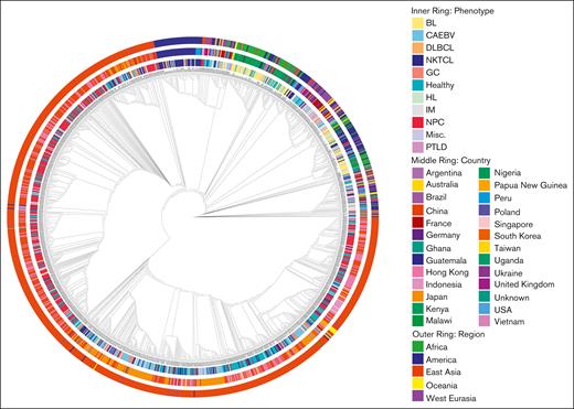 Phylogenetic analysis of reference, noncancer-associated, and cancer- associated EBV genomes. The inner circle represents the histology for cancer- associated genomes or other phenotype, the middle circle represents the country of origin, and the outer circle represents the region of origin. Genomes are aligned to the type I reference genome NC_007605 assembled from data for B95-8 (V01555) and Raji (M35547) genomes. CAEBV, chronic active EBV disease; GC, gastric cancer; IM, infectious mononucleosis; misc, miscellaneous; pLELC, primary lymphoepithelioma-like carcinoma; PTLD, posttransplant lymphoproliferative disorder.