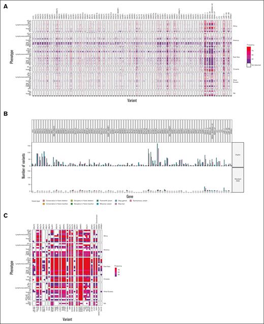 Map of variant frequency across EBV genomes. (A) Identification and frequency by region and histology of all variants identified in 1376 EBV genomes meeting predetermined quality metrics. (B) Comparison of variant detection in standard NGS and duplex sequencing. Bar colors represent the nonsynonymous variant type detected. (C) Comparison of frequency of previously identified disease–associated nonsynonymous mutations in NKTCL and NPC. Variants previously associated with NPC are starred, all others were previously associated with NKTCL.