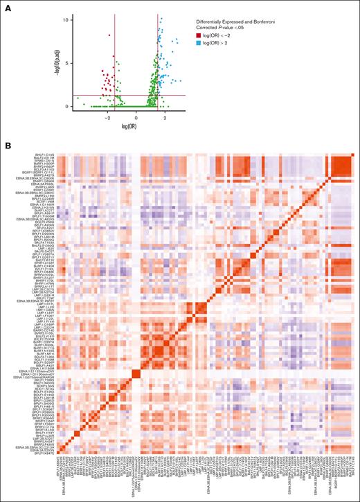 Specific EBV genome variants are enriched in or depleted from NKTCL. (A) Volcano plot demonstrating all variants identified. Variants above the horizontal red line indicate variants with a Bonferroni corrected P value <.05. Significant variants with log(OR) less than −1.5 are shown in red (lower risk), and log(OR) >1.5 in blue (higher risk). (B) Heat map demonstrating a correlation between variants significantly enriched in NKTCL–derived EBV genomes with log(OR) >1.5.