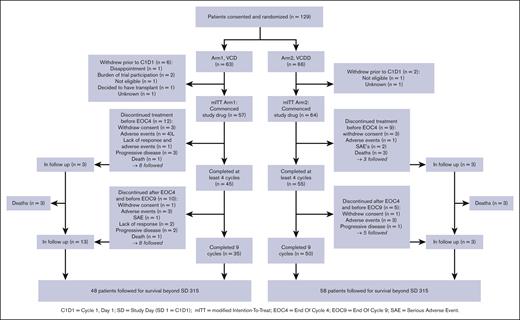 Consort diagram. Patient disposition until the end of cycle 9.