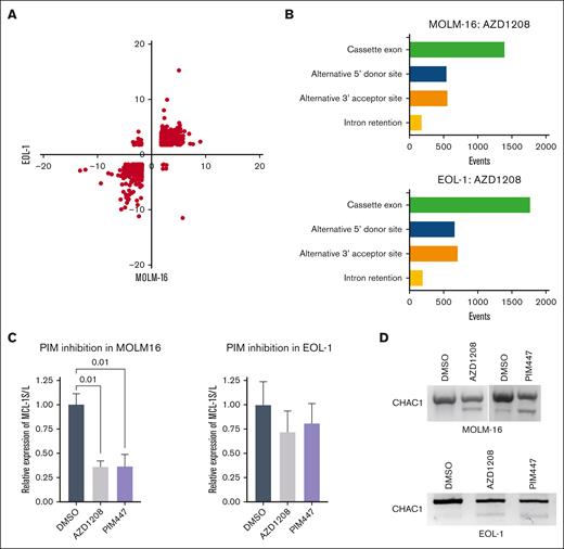 PIM inhibition alters RNA splicing in AML cell lines. (A) Quadrant plot of PIM-inhibitor–induced splicing index changes for 2427 events occurring in EOL-1 and MOLM-16 cells. Quadrant 1, up in MOLM-16, down in EOL-1; quadrant 2, up in MOLM-16 and EOL-1; quadrant 3, down in MOLM-16, down in EOL-1; quadrant 4, down in MOLM-16, up in EOL-1. (B) Incidence of alternative splicing event changes by type in AZD1208-treated MOLM-16 and EOL-1 cells compared to control (vehicle treated) cells. (C) TaqMan quantitative RT-PCR validation of microarray data for MCL-1L and MCL-1S isoforms in AZD1208-treated MOLM-16 and EOL-1 cells. Normalized expression (n = 3 biological replicates) with standard error of the mean is plotted. Data analysis was performed in BioRad CFX Manager 3.1., and significance values (P value) of normalized relative expression of MCL-1S to MCL-1L are displayed for 1-way analysis of variance comparisons with P <.05. (D) RT-PCR to detect CHAC1 alternative splicing in PIM-inhibitor–treated MOLM-16 or EOL-1 cells.