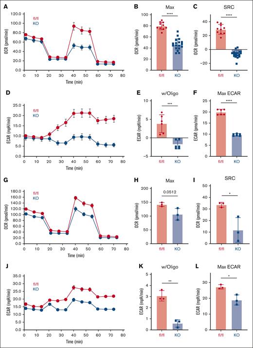 AMPK KO T cells reduce both oxidative and glycolytic metabolism. A total of 2 × 106 CD45.1+ WT (fl/fl) or AMPK KO (blue) T cells and 5 × 106 T-cell depleted (TCD) B6 bone marrow cells were transplanted into irradiated allogeneic (B6D2F1) recipients. On day 7 after transplant, donor T cells were purified by negative selection over a magnetic column, placed into the Seahorse metabolic analyzer, and metabolism interrogated using the mitochondrial stress kit. OCRs (A), including both maximal OCR (B) and SRC (C), were measured simultaneously with ECARs, as shown in panel D. Response to oligomycin (w/oligo) was calculated by subtracting individual values from the averaged baseline values prior to oligomycin administration (E). Maximal ECAR values were simply the highest ECAR values obtained over the course of the analysis (F). (G-L) Donor T cells were recovered from a separate cohort of B6D2F1 recipients on day 21 posttransplant and measured for OCR (G-H), SRC (I), ECAR (J), response to oligomycin (K), and maximal ECAR values (L). Panels A-F, n = 2 pooled samples per group (3-4 mice in each pool), with plots representative of 2 independent experiments. In panels G-L, n = 3 pooled samples, with 3 to 4 mice per pool. ∗P < .05; ∗∗P < .01; ∗∗∗P < .001; ∗∗∗∗P < .0001. fl/fl, floxed/floxed.