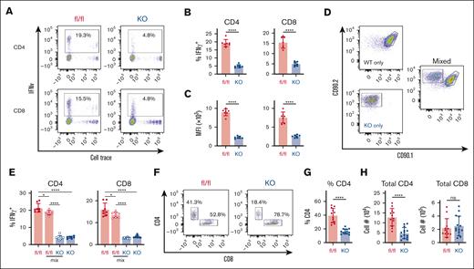 Decreased IFN-γ production in AMPK KO T cells is cell-intrinsic. (A-C) WT or AMPK KO T cells were transplanted individually into irradiated B6D2F1 recipients, recovered on day 7, stimulated for 6 hours with fresh B6D2F1 splenocytes in the presence of monensin, and analyzed for intracellular cytokine production. Representative flow plots are shown in panel A, with the percentage of IFN-γ+ cells (B) and the median fluorescence intensity (MFI) of cells falling within the IFN-γ+ gate shown in panel C, respectively. (D-E) WT (CD90.1/2) and AMPK KO (CD90.2) T cells were transplanted separately or in a 1:1 combination (mixed) into irradiated B6D2F1 recipients and intracellular IFN-γ detected as outlined in panels A-C. Representative flow plots for individual and mixed samples are shown in panel D, whereas panel E represents the percentage of IFN-γ+ cells in CD4 vs CD8 T cells from multiple samples. (F-H) T cells were recovered from a separate cohort of B6D2F1 recipients on day 21 and analyzed by flow cytometry for CD4 vs CD8 expression (F), with CD4 percentages plotted for individual mice (G). CD4 and CD8 percentages were then multiplied by the total number of lymphocytes recovered to calculate the total number of CD4+ (left) and CD8+ (right) T cells on day 21 (H). n = 7 to 8 recipients per group for panels A-E, and n = 12 to 14 recipients per group for panels F-H. ∗P < .05; ∗∗∗∗P < .0001.