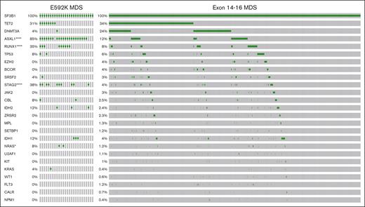 Comutation landscape of MDS with E592K or exon 14-16 SF3B1 mutations. All cases of SF3B1-mutant MDS that sequenced at least the 24 additional genes shown were included. Fisher exact test P values and Benjamini linear multiple testing q values for FDR < 0.05 were as follows: ∗∗∗∗ASXL1 = 1.13E-16 and 2.37E-15; ∗∗∗∗RUNX1 = 2.06E-10 and 2.16E-09; ∗∗∗∗STAG2 = 5.03E-08 and 3.52E-07; and ∗NRAS = 4.61E-03 and 2.42E-02.