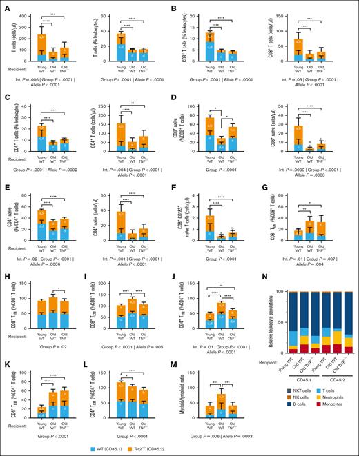 TNF exacerbates Tet2–mutant T-cell remodeling with age. Peripheral whole blood of recipient mice was collected 8 weeks after BMT and analyzed by flow cytometry for the absolute and relative counts of circulating lymphocytes. (A-C) Absolute and relative (as a percentage of total CD45+ leukocytes) counts of total T cells (A), CD8+ T cells (B), and CD4+ T cells (C). (D-E) Absolute and relative counts of CD8+ (D) and CD4+ naïve T cells (E) as a percentage of total CD8+ and CD4+ T cells, respectively. (F) Absolute counts of circulating CD8+ naïve T cells expressing CD183. (G-I) Relative count of CD8+ TEM (G), TVM (H), and TCM cells (I). (J-M) Relative count of CD4+ TVM (J), TEM (K), and TCM cells (L). (M) Myeloid-to-lymphoid ratio. (N) Leukocyte summary. Significance was assessed by a 2-way ANOVA with Tukey multiple comparisons test. Letters in the orange and blue columns denote significant differences (P ≤ .05) in the group means of CD45.2 or CD45.1 alleles, respectively. For all variables with the same letter, the difference between the means is significantly different. If 2 variables have different letters or no letters, they are not significantly different. Black bars with asterisks denote group differences, inclusive of both CD45.1 and CD45.2 alleles. ∗P ≤ .05; ∗∗P ≤ .01; ∗∗∗P ≤ .001; ∗P ≤.0001. Abbreviations: TEM, effector memory T cells; TVM, virtual memory T cells; TCM, central memory T cells; NK, natural killer; NKT, natural killer T cells.