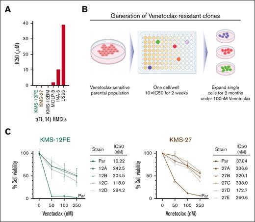 Development of t(11:14) venetoclax-resistant clones from single cells. (A) A panel of t(11:14) MM cell lines were treated with several doses of venetoclax for 72 hours. Cell viability was assessed by CellTiter-Glo (CTG) and IC50 was calculated using GraphPad prism. (B) Schema of development of DTEP/resistant clones. (C) Cell viability was evaluated using CTG after 72 hours of treatment with venetoclax in parental cells and clones and represented as percentage of viable cells compared with each untreated control. IC50 is also shown.