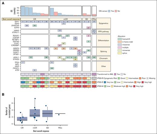 Response rates vs cytogenetic risk categories for the efficacy analysis set. (A-B) Heat map showing IPSS-R, IPSS-M, and IPSS-R cytogenetic risk categories, best overall response, baseline comutations, baseline VAF, and OS in the efficacy analysis set (A; N = 18) and distribution of number of comutated genes with best overall response (B; N = 18). Please note that the numbers within the boxes correspond to the VAF of the alteration. aIf a patient had multiple alterations in a gene, the largest VAF was shown. bThis patient did not have any of the comutations evaluated in the panel but did have a poor-risk karyotype, including monosomy 7. PDis, progressive disease; RTK, receptor tyrosine kinase; SD, stable disease.