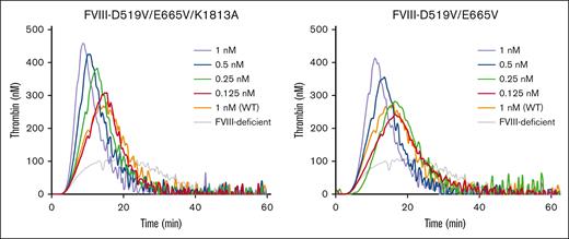 Thrombin generation potential of D519V/E665V/K1813A and D519V/E665V FVIII mutants. WT-FVIII (1 nM) or FVIII mutants (D519V/E665V; 0.125-1 nM, and D519V/E665V/K1813A; 0.125-1 nM) were added to commercial FVIII-deficient plasma. These samples were incubated with recombinant tissue factor (rTF) (1 pM) and PL vesicles (4 μM) before the addition of fluorogenic substrate and CaCl2 at the start of the assay as described in “Methods.” Experiments were performed 3 times, and the mean values are shown. Thrombin generation curves are shown (gray, FVIII-deficient plasma; orange, WT 1 nM; red, mutants 0.125 nM; green, mutants 0.25 nM; blue, mutants 0.5 nM; and light purple, mutants 1 nM).