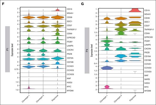 Clonotype assignment across patients. (A) UMAP representing the overall of 5 patients’ BCR profiling, in which clonal and polyclonal cells are represented by red and blue dots, respectively. (B) Violin plot showing the normalized expression levels of representative selected marker genes in clonal and polyclonal cells of each patient. (C) UMAP color coded for clonal and polyclonal cells (red and blue dots, respectively) of P2, P3 and P5 patients. (D-E) Dominant clonotypes of P1 and P4 patients represented by UMAP. Dominant clonotypes are represented by red and green dots and the polyclonal cells by blue dots. (F-G) Violin plots showing the expression levels of PCs representative selected marker genes across the clonotypes of P1 and P4 patients, respectively.