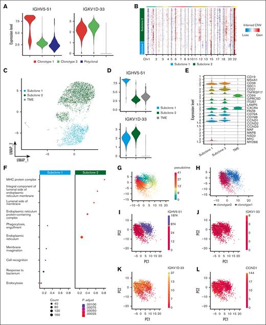 Heavy-chain locus loss characterization. (A) Violin plot of 2 MM BCR clonotypes of sample P1, representing the expression of heavy and light chains in each clonotype. Clonotype 1 is represented in red, clonotype 2 in green, and polyclonal cells in blue. (B) CNAs inferred by inferCNV pipeline, to define functional differences between the 2 tumor clonotypes. Subclone 1 is represented in light blue and subclone 2 in green. (C) Color coded map of subclones distribution in the UMAP space, with the same color code of panel B. Tumor microenvironment (TME) is shown in gray. (D) Violin plot representing the expression of heavy and light chain in each subclone. (E) Analysis of marker genes by subclone is represented by violin plots. (F) Pathway enrichment analysis, comparing the transcriptional profiles of CNAs subclones, (.1 as P value cutoff; Padjusted (Padj) method by Benjamini-Hochberg; see “Materials and Methods”). (G-K) After normalization and projection on a reduced-dimensional space (using UMAP), the cells were colored by pseudotime inference (G), clonotype origin (H), IGHV5-51 gene expression (I), IGKV1-33 gene expression (J), IGKV1D-33 gene expression (K) and CCND1 gene expression (L). Each model is fitted using the trajectory inferred by slingshot.
