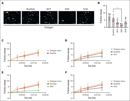 Effect of GPVI Affimers on thrombus formation in vitro. Human whole blood was incubated in the presence or absence of GPVI Affimers (Scaffold, M17, D22, and D18; 10 μg/mL) for 15 minutes and perfused through collagen (50 μg/mL) coated microfluidic chips at 1000 per second for 2 minutes. After 2 minutes of flow, nonadherent platelets were washed off with phosphate-buffered saline for 3 minutes. Images of stably adherent platelets and thrombi were taken by fluorescence microscopy and quantified using ImageJ. Data presented as representative images (scale = 20 μm) (A) and percentage surface coverage (B) at 2 minutes (repeated measures 1-way analysis of variance with Šídàk multiple comparisons test vs scaffold; ∗P < .05). (C-F) Percentage surface coverage over time up to 2 minutes. Data presented as mean ± SD; n = 5.