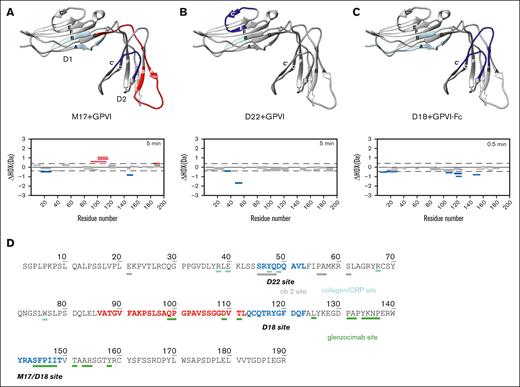 The location of Affimer binding sites on GPVI for M17, D22, and D18. The residues involved in Affimer binding on GPVI determined by HDX-MS for M17 (A), D22 (B), and D18 (C) are displayed and colored on the crystal structure of GPVI (gray, PDB code: 2GI7). The residues that had strong and weak protection effect upon Affimer binding are colored blue and light blue, respectively. The residues that had strong and weak deprotection effect upon Affimer binding are colored red and light red, respectively. Red, blue, and gray bars shown in each graph below the GPVI structure represent different GPVI peptide fragments generated by proteolysis in the presence and absence of Affimers. The peptide fragment represented by red and blue bars have positive and negative differences in deuterium uptake, respectively. The peptide fragments represented by gray bars have no significant changes in deuterium uptake. (D) Representation and comparison of the binding site residues of M17, D22, and D18 with collagen/CRP (cyan), glenzocimab (green) and Nb2 (gray). The amino acids colored in blue and red had the strong protection and deprotection effect, respectively, upon the binding of Affimers.