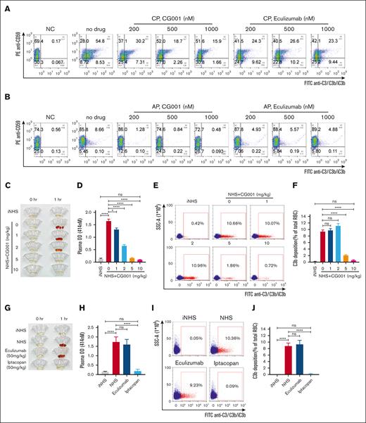 CG001 prevented PNH erythrocytes from hemolysis. (A-B) CG001 protected human PNH erythrocytes from CP- and AP-induced hemolysis. Hemolysis and C3b/iC3b deposition (selective for CP) in CD59− PNH erythrocytes were induced by (A) CP or (B) AP activation, which could be effectively prevented by CG001 treatment. However, (A) eculizumab treatment prevented only hemolysis but not C3b/iC3b deposition induced by CP activation and (B) showed little effect on AP-induced hemolysis. (C-J) CG001 blocked both IVH and EVH in the NHS-induced and AP-mediated hemolytic mouse models compared with eculizumab and iptacopan. (C,G) IVH was determined by the plasma images, and (D,H) the quantitative plasma hemoglobin. (E,I) EVH was represented by the deposition of C3b/iC3b in erythrocytes, which is shown as a scatterplot, and (F,J) the related quantitative results. (C-F) CG001, and (G-J) eculizumab and iptacopan. Data are presented as mean ± standard error of the mean (SEM); n = 4; ∗P < .05 and ∗∗∗∗P < .0001.