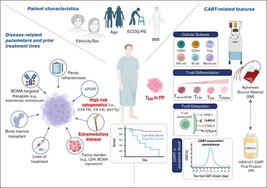 Determinants of durable response to HBI0101 therapy in patients with infused MM. Numerous variables related to patient characteristics, disease, and CART features (ie, SM, FP, and CART in peripheral blood) were analyzed to determine the potential predictors of PFS in response to HBI0101 therapy. Bold faceted and underlined parameters in red were identified as strong independent determinants of PFS. HR cytogenetic, EMD presentation, and the absolute numbers of CAR+ TEMs (defined as CD3+CAR+CD45RA−CCR7−) in HBI0101 CART FP were identified as predictors of inferior PFS. This illustration was generated with BioRender.com.