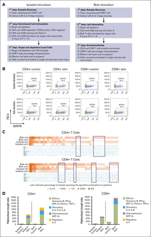 Single-cell cytokine profiling of BAFF-R CAR T-cell products by isolated subset or bulk stimulation. (A) Workflow of CAR T-cell product processing, comparing protocols in which cells were first separated into CD4+ and CD8+ subsets, stimulated with BAFF-R+ target cells, which were subsequently depleted (isolated stimulation), or cells were stimulated in bulk and then separated into subsets without the need for target cell depletion, before analysis (bulk stimulation). (B) Fluorescence-activated cell sorting (FACS) plots showing the frequency of EGFRt+ CAR T cells stimulated with either BAFF-R+ or BAFF-R− targets (control) in cell suspensions prepared either by isolated or bulk stimulation protocols, before loading onto microchips. (C) Heat maps showing frequencies of single CD4+ or CD8+ T cells secreting selected cytokine combinations from isolated or bulk stimulation protocols. Brackets indicate differences observed in specific cytokine profiles between the 2 protocols. (D) Differences between isolated subset and bulk stimulation protocols as measured by PSI. Results are representative of 2 CAR T-cell products generated from healthy donors. Stim, stimulation.