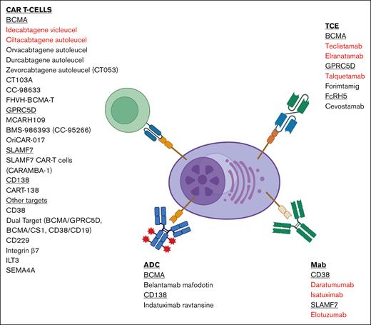 Summary of immunotherapies with novel targets and therapeutics. Highlighted in red are FDA-approved therapies. Figure created with BioRender.com.