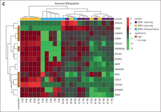 Immune differences between BL with granulomatous reaction and BL with typical starry sky. GEP showed that BL with typical starry sky pattern both EBV+ (orange) and EBV– (violet) were enriched in and M2-related chemokines (A), M2 macrophages (B), and immune exhaustion signature (C).