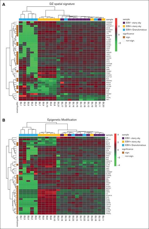 BL with starry sky was characterized by DZ signatures and epigenetic modification signatures. Analysis of additional signatures showed that BL with starry sky was enriched in DZ signature (A) genes and epigenetic modulation signature (B).