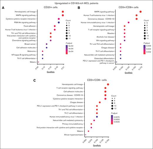 Enriched KEGG pathway analyses of mRNA data in CD20+ and T-cell subsets, respectively, confirm the association between CD163+ cell abundance and MAPK-upregulation in MCL TIMEs. To visualize the difference in gene expression between patients with MCL with CD163-rich and those with CD163-sparse TIMEs, enriched KEGG pathway analyses were performed based on differentially overexpressed genes in CD163-rich TIMEs in CD20+ cell segments (A), in CD3+/CD8+ cell segments (B), and CD3+/CD8– cell segments (C).